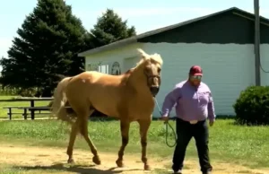 Nebraska hero, saved baby on horseback, roping contestant hero, Heroes Game story, Merrick County Fair rescue, heroic actions, baby saved in hot car